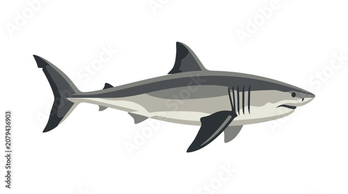 Tableau sur toile Gray Shark Swimming in Ocean Water.