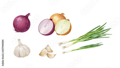 Fresh red onion purple shallot garlic and green onion vegetables on white Vector