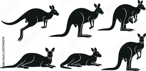 Photos Kangaroo silhouettes set, jumping, sitting, standing, and pouch poses, Australia
