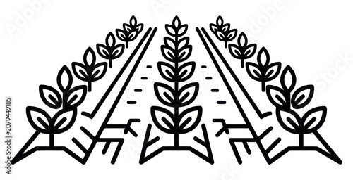 Fotografie Minimalist Wheat Field Rows Vector Illustration