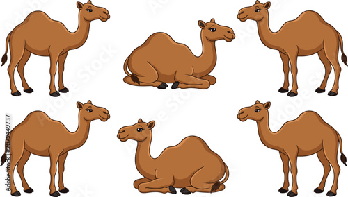 Tableau sur toile Cute brown camel cartoon character collection showing sitting and standing poses