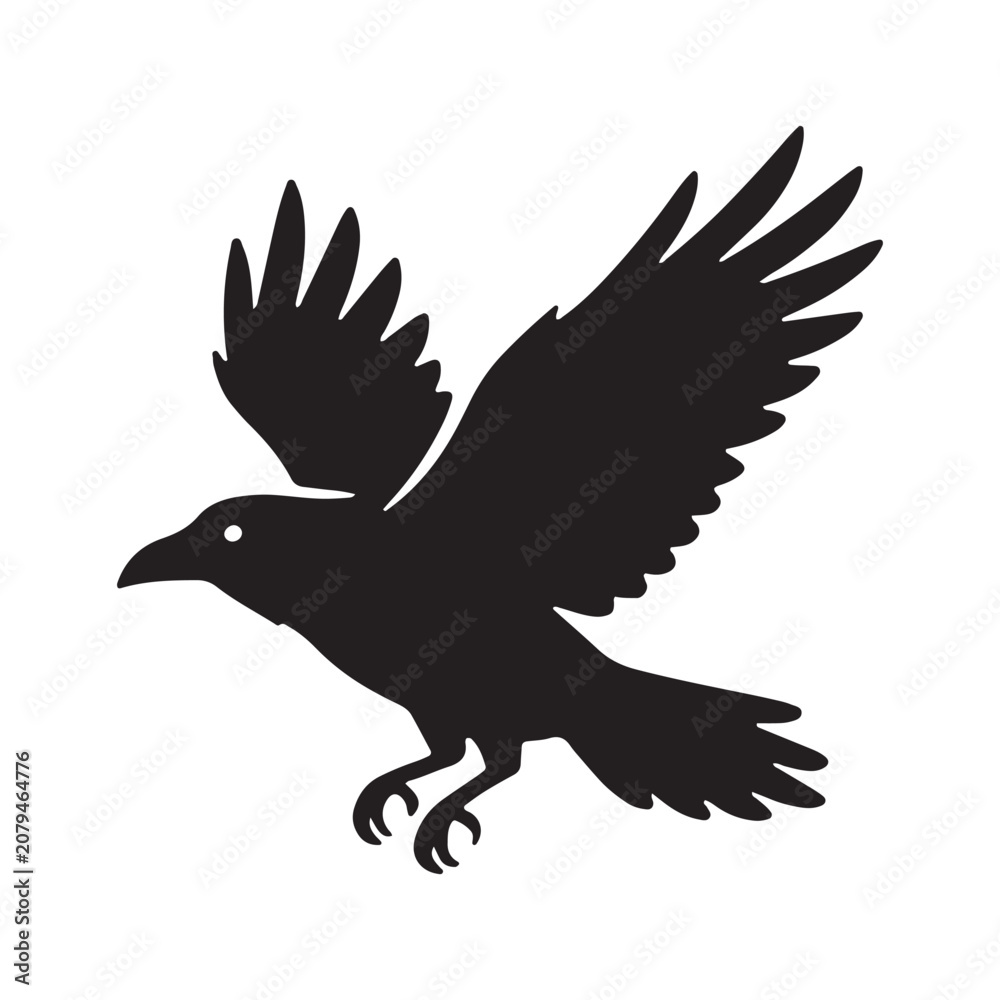 Fototapeta premium Black silhouette of a crow flying with wings spread wide silhouette wildlife illustration isolated