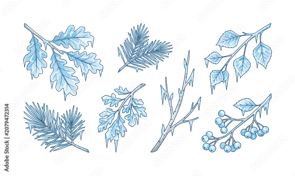 Fototapeta premium Collection of various blue leaves branches.