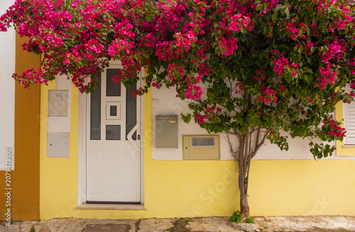 Charming home with vibrant bougainvillea tree in front in Ferragudo, Portugal

