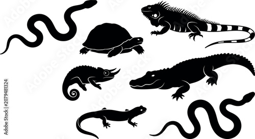 Canvas Print Black reptile wild animals silhouette vector set with crocodile snake iguana tur