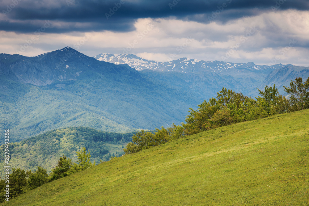 Fototapeta premium Lush green hill slope with trees leading to a vast mountainous landscape, showing snowy peaks under a cloudy sky