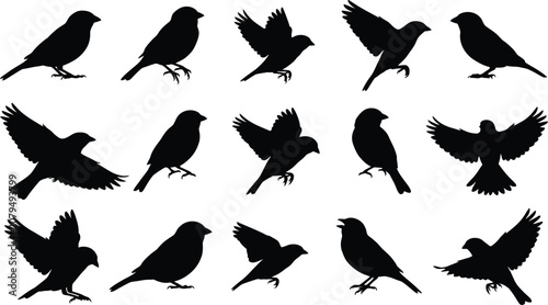 Photos Collection of fifteen small bird silhouettes in various poses and flight stages,
