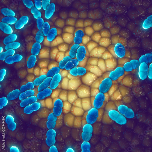 Fotografie Pneumococcus bacteria (Streptococcus pneumoniae) structure showing the protective polysaccharide capsule
