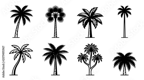 Palm Tree Icons Set with Black Silhouettes on White Background for Tropical Themed Design Projects and Patterns