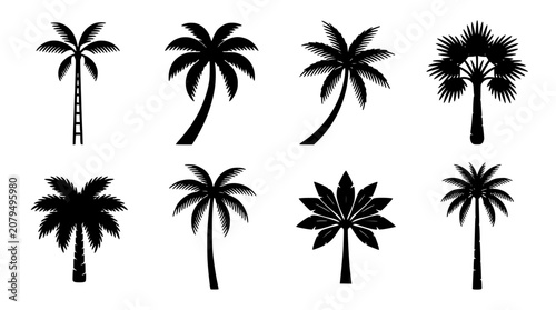 Palm Tree Icon Set with Simple Black Silhouettes on White Background for Tropical Design and Decoration