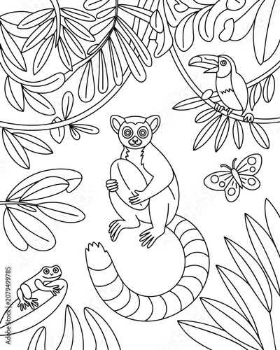 Jungle animals coloring page for children featuring a cute ring-tailed lemur, toucan bird, butterfly, and tropical forest leaves and book and wild