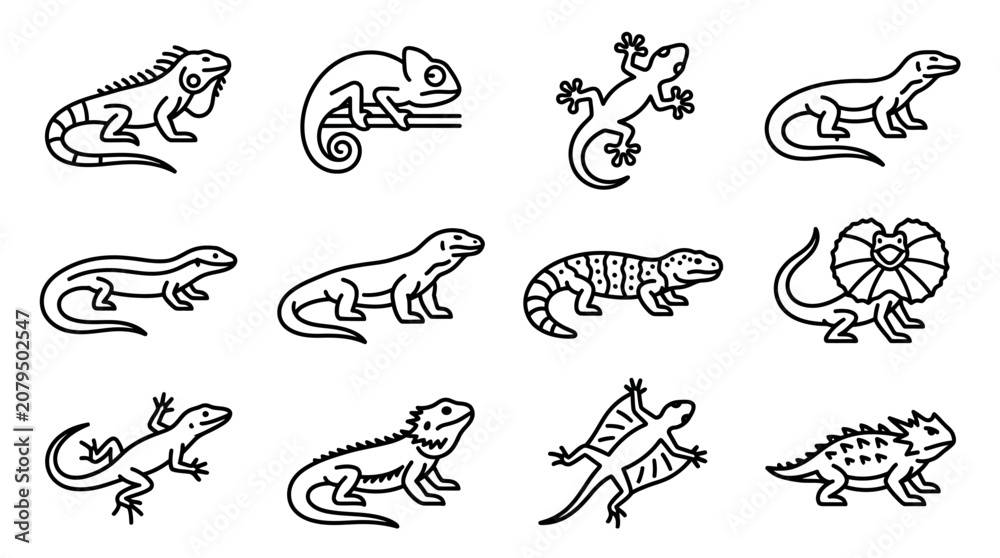 Obraz premium Collection of Lizard Icons: Iguana, Chameleon, Gecko, Monitor Lizard, Frilled Lizard, Bearded Dragon