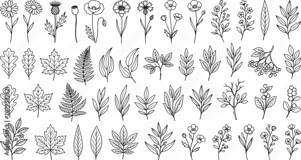 Fototapeta premium Hand drawn botanical elements collection featuring various wildflowers leaves and forest foliage isolated on white background for decorative design projects and creative graphic illustrations
