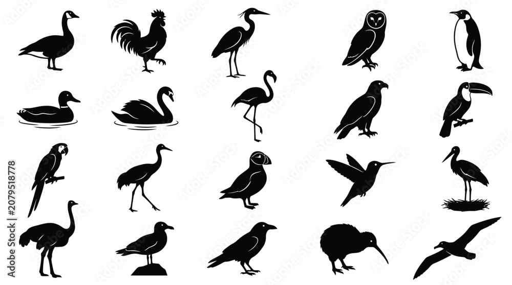 Fototapeta premium A collection of various bird species represented as isolated black silhouettes on a white backdrop