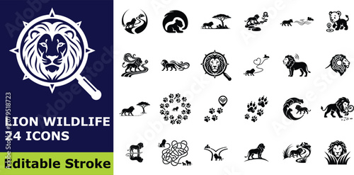 Lion wildlife and safari icon set, 24 vector pictograms of majestic lion illustrations, jungle adventure symbols, and animal paw prints for nature design
