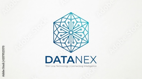 Modern data technology concept logo featuring geometric hexagon nodes and network lines.