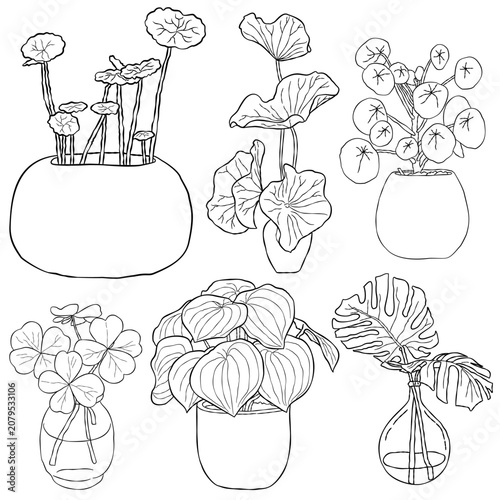 Black and white line art tree elements for decoration.