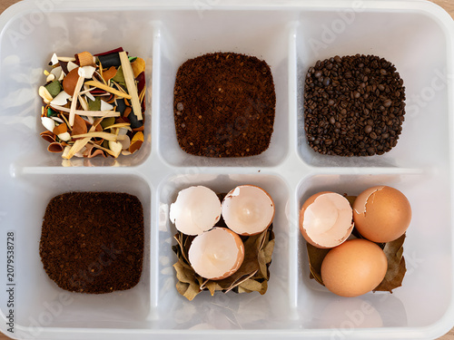 Composting Ingredients in Tray: A compartmentalized tray displays various organic materials for composting, including eggshells, coffee grounds, and dried plant matter.