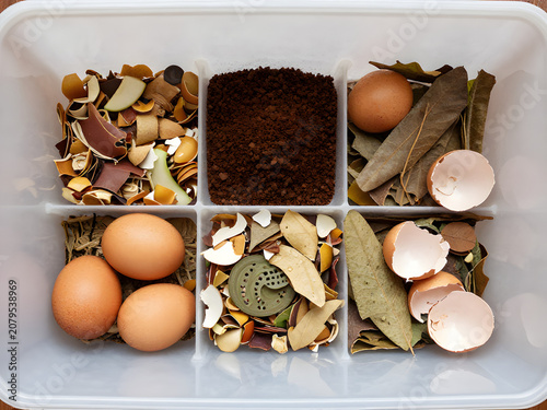 Compostable Ingredients: A compartmentalized bin showcases various organic materials for composting, including eggshells, coffee grounds, and dried leaves, highlighting sustainable waste management.