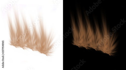 Obraz na plátne Realistic brown hair tufts and fur texture elements, soft animal fur patches on