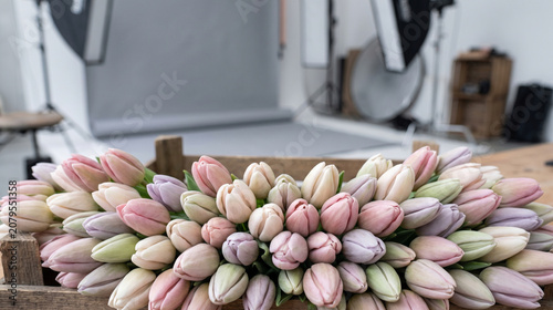 Soft Blooming Flowers, Delicate Floral Beauty, Elegant Pastel Flowers, Gentle Blossoms in Bloom, Soft Petal Elegance
