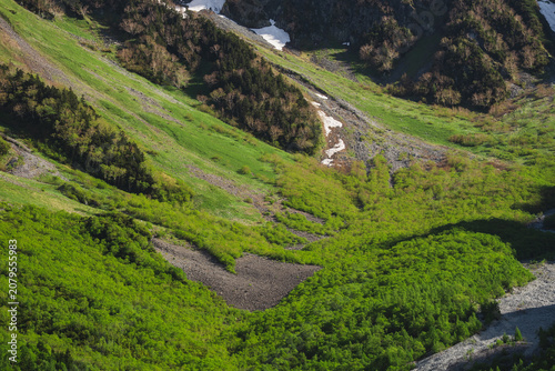 Fotografija Mountain valley green forest slope snow stream alpine landscape mountain valley