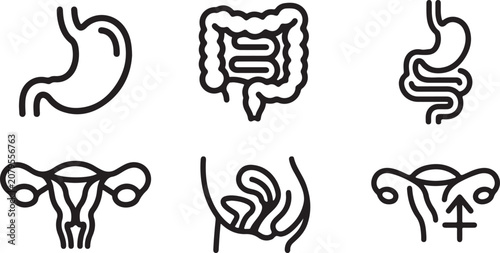 Foto Set of human internal organs and reproductive system icons including stomach and