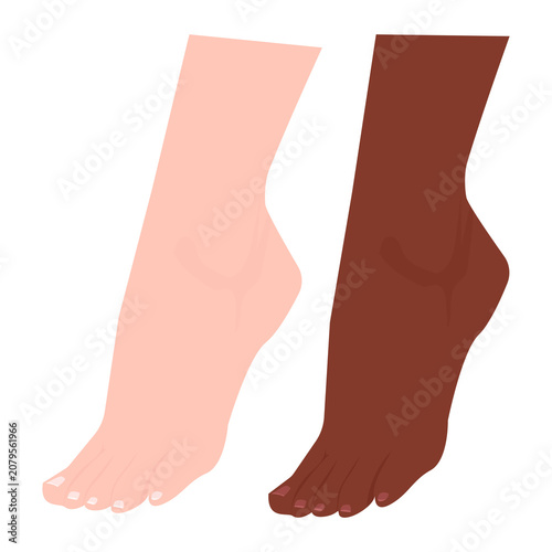 Set of Two Female Feet in Different Skin Tones – Foot Care, Pedicure and Cosmetic