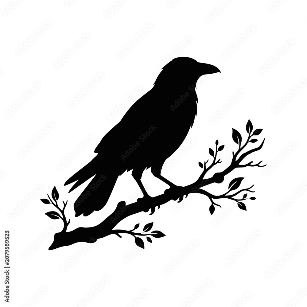 Fototapeta premium Black bird silhouette, crow on branch, vector raven icon, wildlife symbol isolated on White Background silhouette