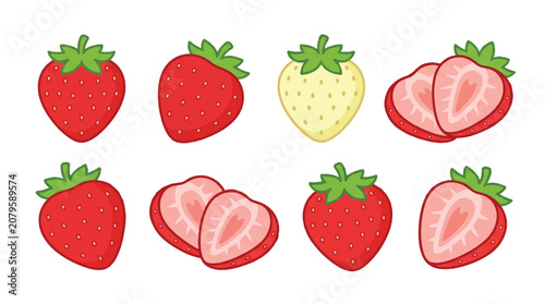 Cute strawberry vector illustration set featuring red and white pineberry strawberries, whole and sliced fruits