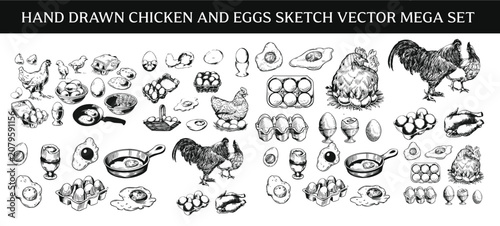 Foto Hand drawn chicken and eggs sketch vector mega set, vintage engraving line art poultry farm icons collection, cute rooster, hen on nest, and fried egg clipart isolated on white background