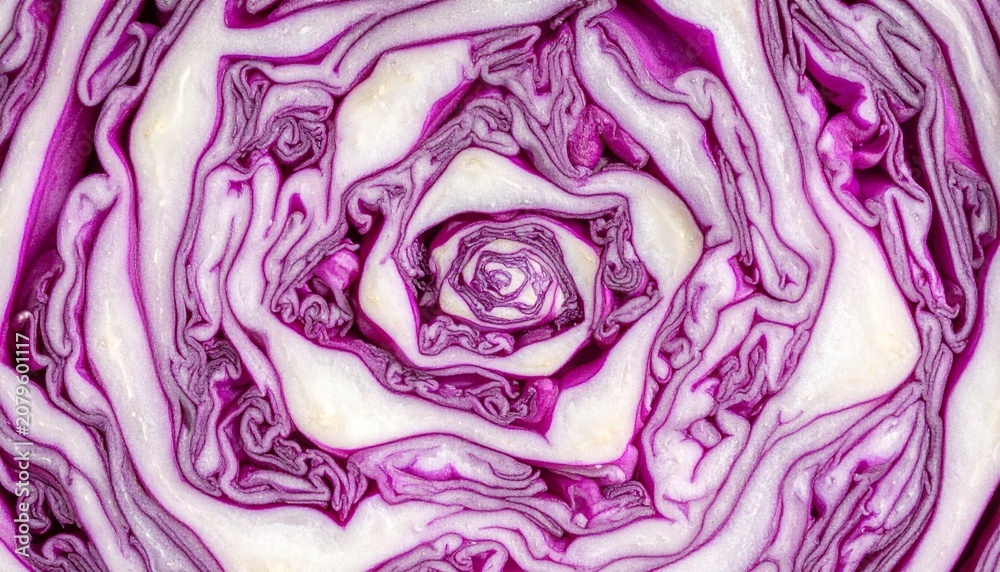 Obraz premium Macro Texture of Red Cabbage Cross Section with Purple Spiral Patterns