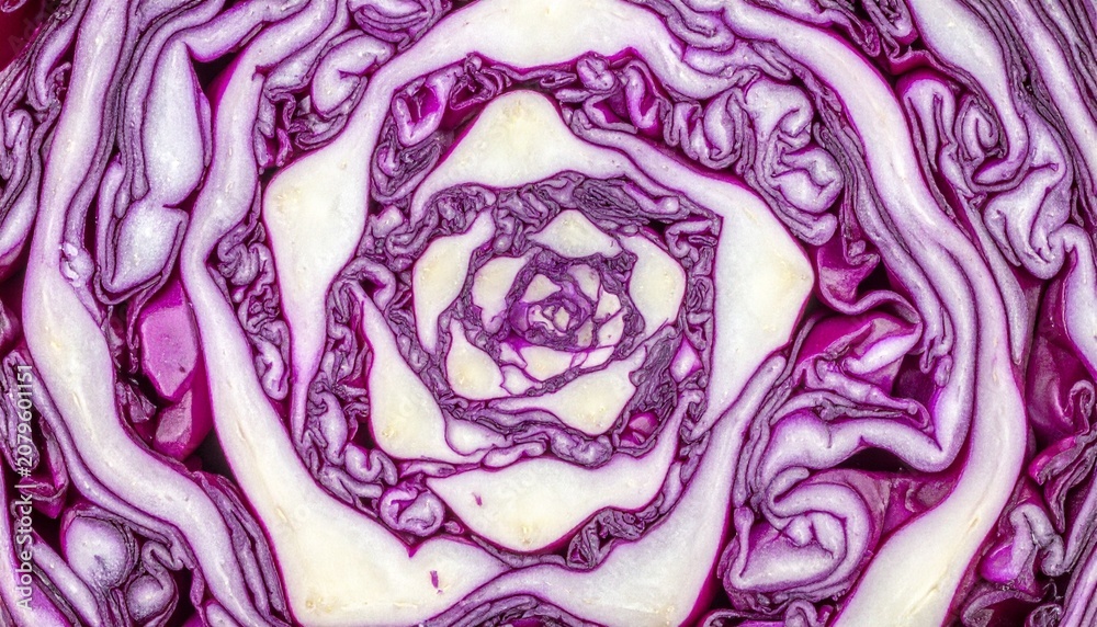 Obraz premium Macro Shot of Red Cabbage Cross Section with Intricate Spiral Pattern and Texture