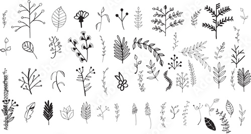 Hand drawn floral botanical elements and leaf branch collection for design.