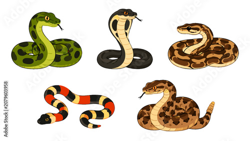 Fotografie Cartoon snake set with five coiled exotic reptile illustrations
