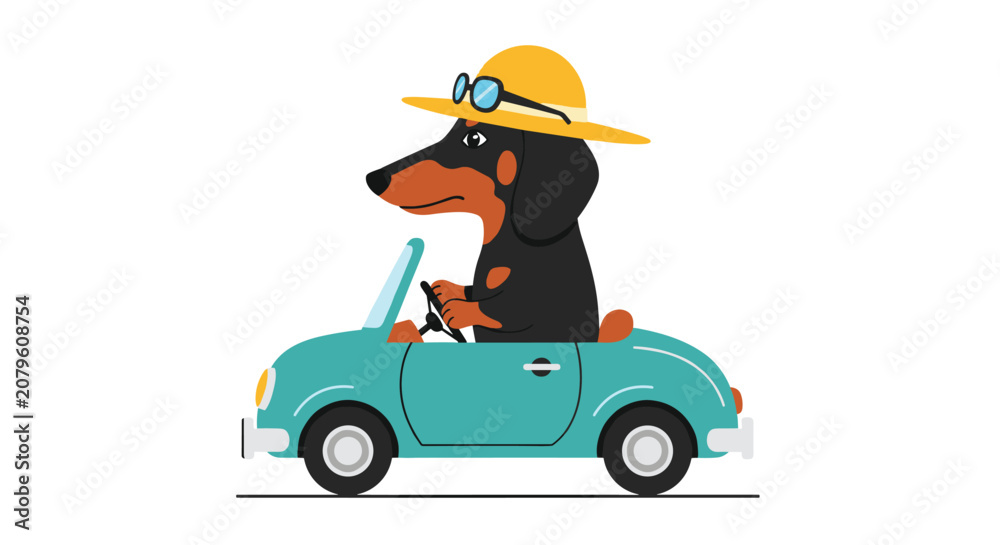 Obraz premium Stylish dachshund dog wearing a yellow hat and sunglasses while driving a small blue vintage car on an exciting road trip adventure.