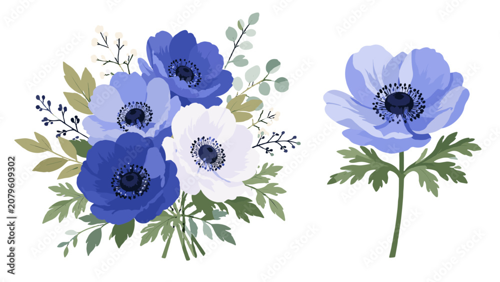 Fototapeta premium Blue anemone flower bouquet and single bloom isolated