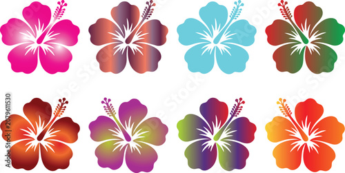 Set of colorful hibiscus flower illustrations in various gradient color schemes for floral design with hibiscus tropical botanical gradient colorful collection illustration decoration