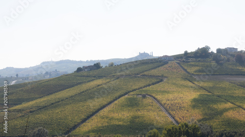 Slika na platnu landscapes of the Langhe in Piedmont with vineyards during summer before autumn