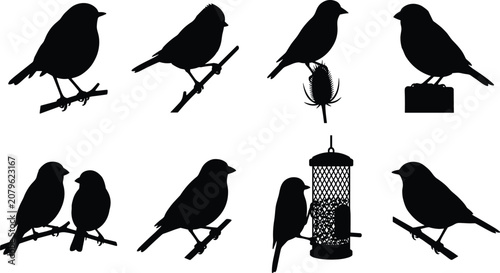 Konstfotografi Collection of small garden bird silhouettes perched on branches and a bird feede