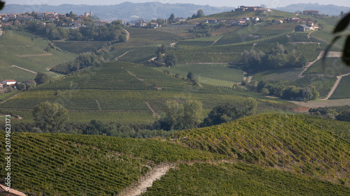 Konstfotografi landscapes of the Langhe in Piedmont with vineyards during summer before autumn