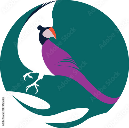 Abstract vector logo design of a stylized magenta and white bird inside a teal circle
