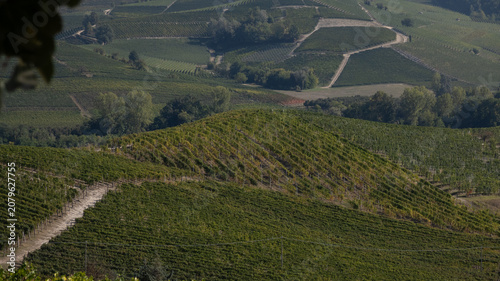 Canvastavla landscapes of the Langhe in Piedmont with vineyards during summer before autumn
