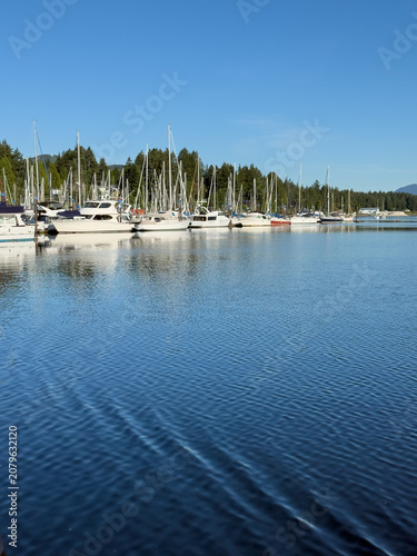 Powerboats and sailboats moored at a dock on a summer day