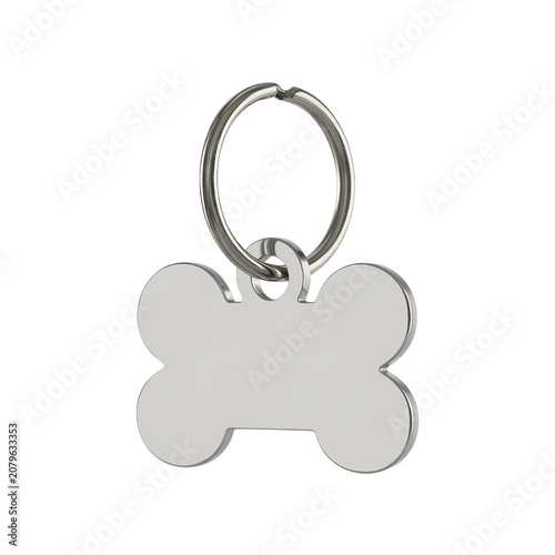 Silver Keychain with Minimalist Paw Print Charm in Close Up Isolated View transparent Background
