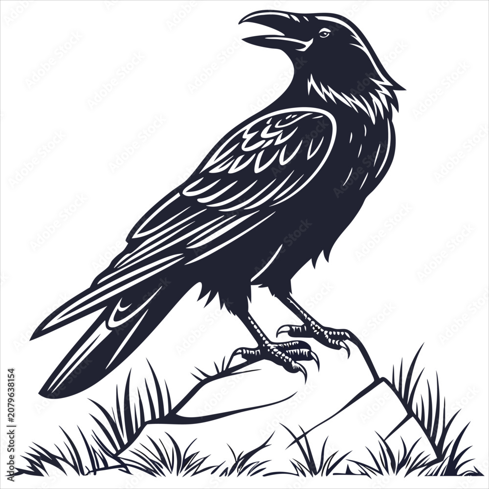 Fototapeta premium silhouette crow image on white background 