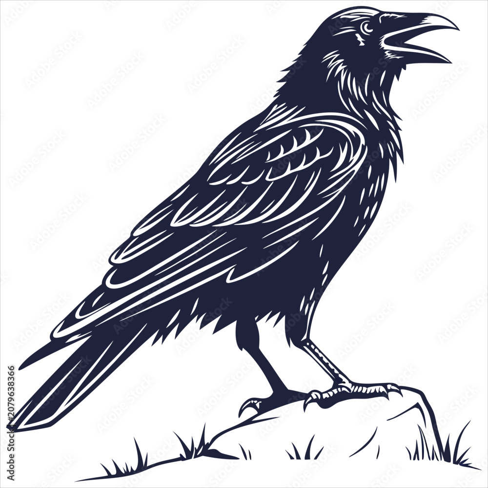 Fototapeta premium silhouette crow image on white background 