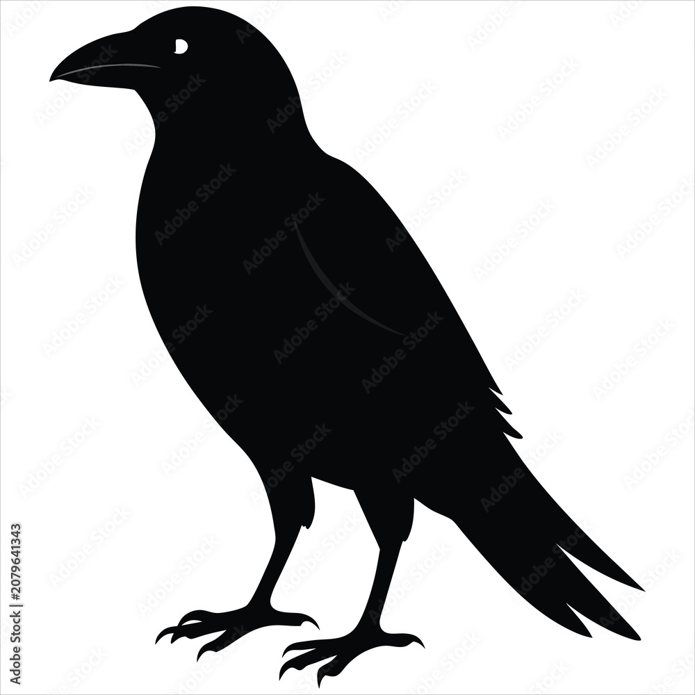 Fototapeta premium silhouette crow image on white background 