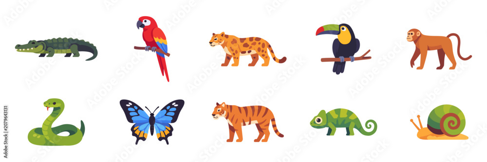 Fototapeta premium Set of tropical jungle wildlife icons with wild mammals, reptiles, birds, butterfly, snail, and exotic rainforest fauna, colorful collection with illustrations