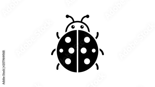 Foto Black Ladybug Insect Closeup View.